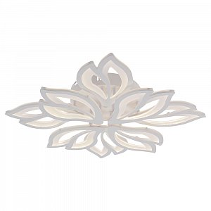 8004/4+4 WHT (SMART)